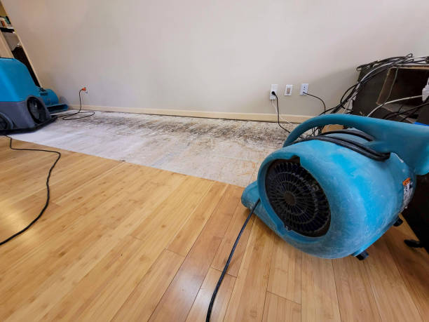 Professional Structural Drying technician working in Myra, TX